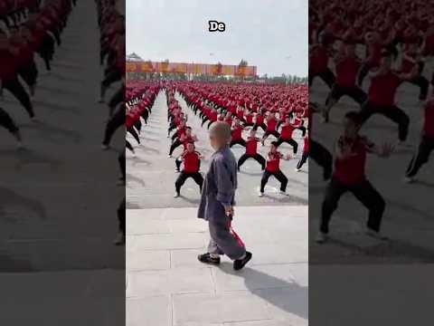 Profesor de artes marciales más joven #hechos #cortos #bermudas #facts #factshorts #ytshortsvideo