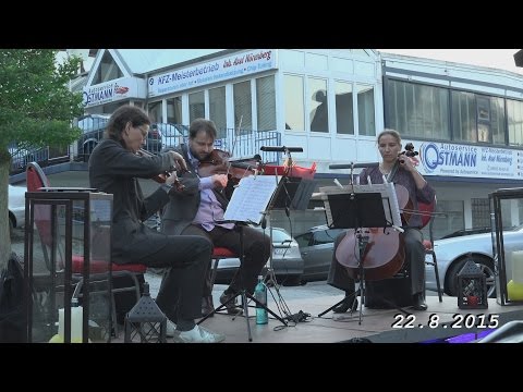 Kneipenfestival in Wolfhagen am 22. 8. 2015 in 4K, von tubehorst1