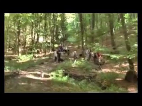 25. Mixxx túra sava borsa