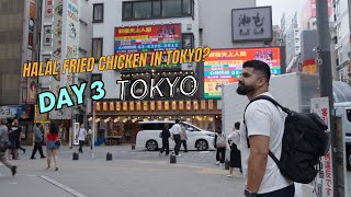 Halal fried chicken in tokyo & TeamLabs!