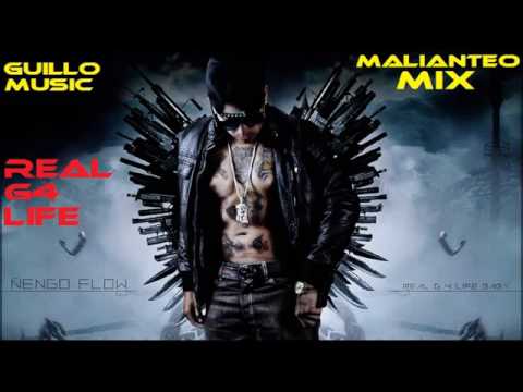 Ñengo Flow, Nejo, Baby Rasta y Gringo, Tempo, Pusho Various Artist (RealG4Life)