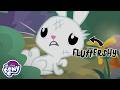 BUNNY SPECIAL My Little Pony Friendship Is Magic S9 EP18 She Talks To Angel MLP FULL EPISODE