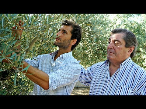 download lagu mp3 mp4 Masia El Altet, download lagu Masia El Altet gratis, unduh video klip Masia El Altet