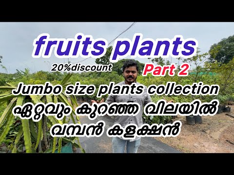New collection of fruit trees at the lowest prices!!!!!