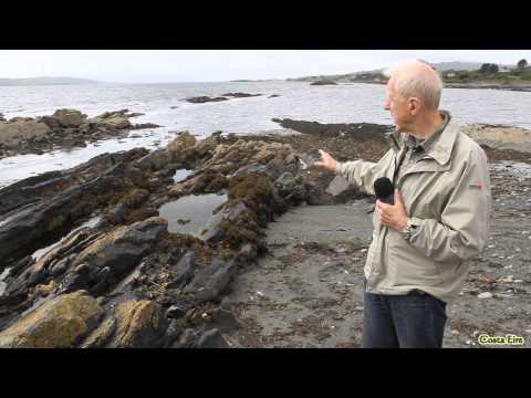 GEOCOAST VIDEO NOTE: GEOLOGY OF SHEEP'S HEAD, CO. CORK, IRELAND (DRAFT)