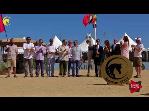 1 st place, N.48 MOZN ALBIDAYER - MENTON 2017 - Junior Female Championship (Class 12)