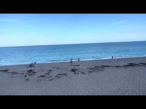 Jupiter Beach with Cristina and Lula 💜🙏