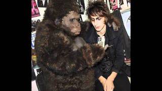 The Horrors - Gloves (Live In Radio 1)