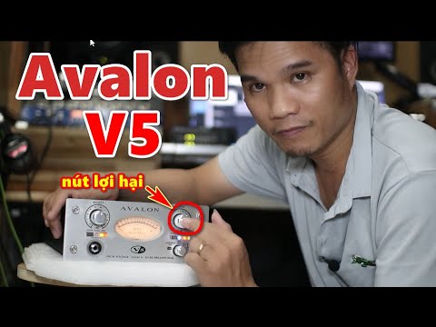 AVALON V5 HƯỚNG DẪN CHI TIẾT TUỲ CHỌN MÀU THU ÂM ĐẦU VÀO - NISSIAUDIO.VN