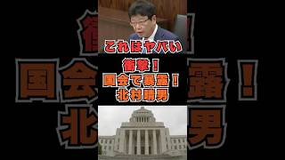 これはヤバい！衝撃！北村晴男　 #日本保守党