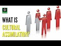 What is Cultural Assimilation?