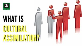 What is Cultural Assimilation?