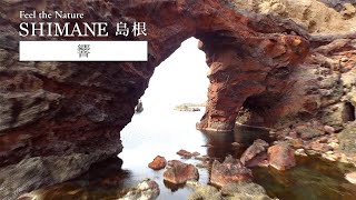 vignettes vidéo