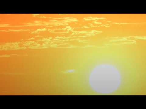 Sunny - Alesia Panajota and Sebastian Link