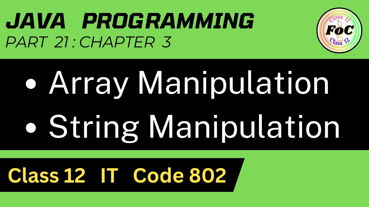 Java Programming Class 12 | Array String Manipulation | Information Technology IT Code 802 #cbse