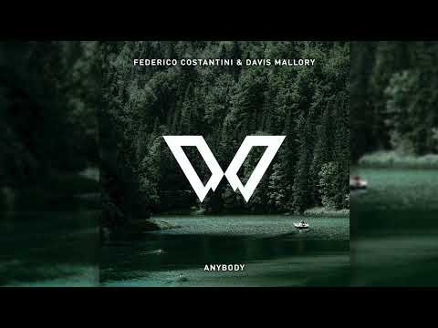Federico Costantini feat. Davis Mallory - Anybody