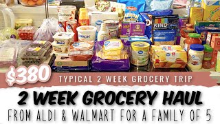 Family of 5 Walmart and Aldi Grocery Haul + Meal Plan!