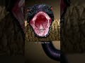 Be Namazi Ka Anjam Be Namazi Ko Qabar Me 3 Sazaye Urdu Status Islamic WhatsApp Status