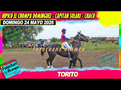 TORITO Capitan Solari CH 24 05 2026