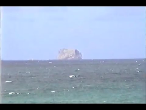 Magnetic Family - Airwaves