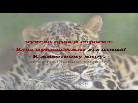 Вечерние рассказы для детей. История 084