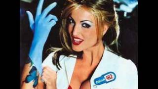 Blink 182 - Pathetic Live (Enema Import)