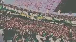 Download lagu Status wa PERSEBAYA.[suara bonek] mp3