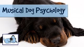 Musical Dog Psychology - 1 Hour of Relaxing Pet Music.