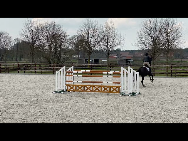 Extra jumping video
