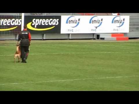 WK FMBB 2010 - Corinne Roggo - Obedience - Grand Finale