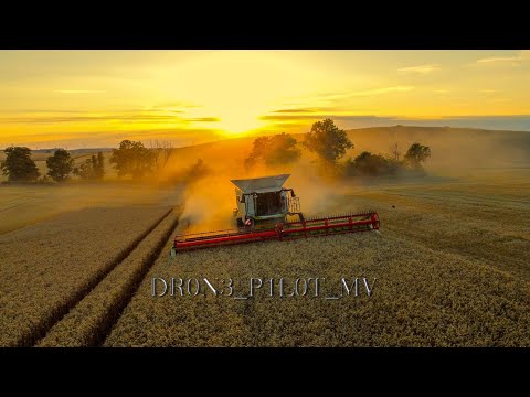 Lexion Drescher auf Hektarjagd - Weizenernte in MV | Claas Lexion 8900 TT & 750 |