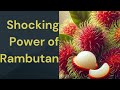 The Hidden Benefits Of RAMBUTAN