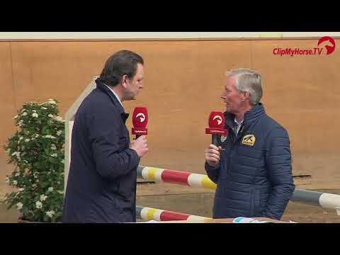 Training der Verbandshengste mit Jos Lansink - TRAILER