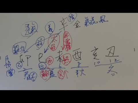 辛金是什麼