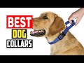 ✅Top 5 Best Dog Collars of 2024