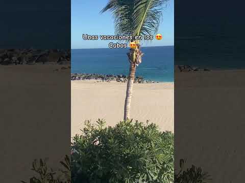 Disfruta unas vacaciones en San José