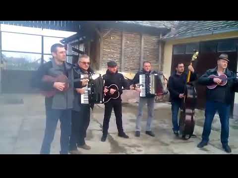 Sremacki becarac Špricer Bend Grgurevci