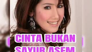Download lagu Cinta Bukan Sayur Asem - INE SINTHYA ( lagu dangdut jadul ) mp3