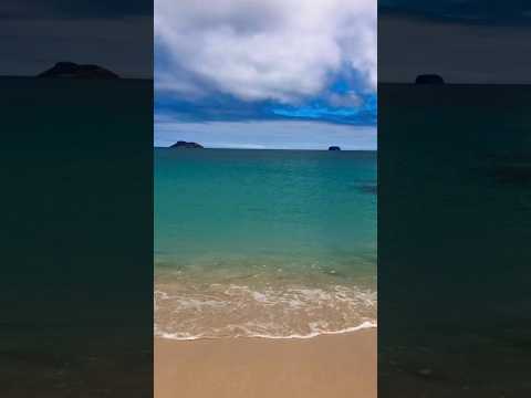 Untouched Beach in Galápagos Islands #shorts