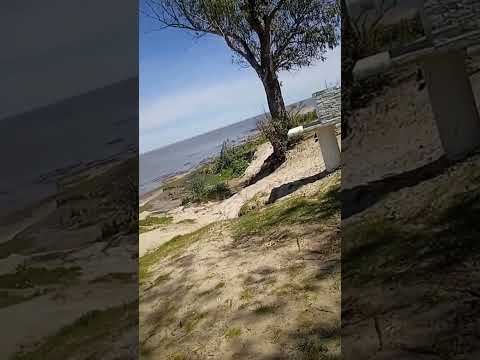 🌿 Nature’s Peace at Playa Pascual – A Serene Escape in San José, Uruguay