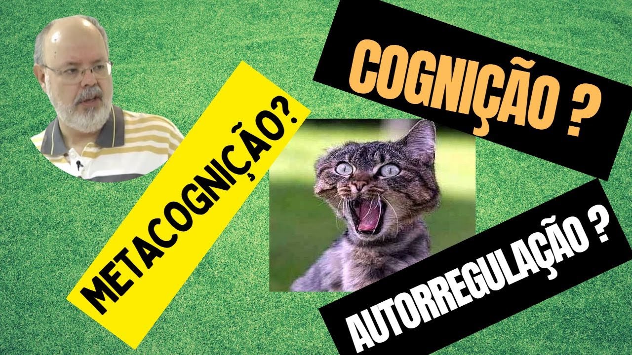 Qual a diferença entre a Cognição a Metacognição e a Autorregulação ?