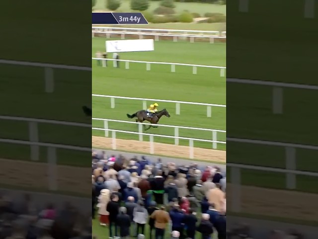 Thumbnail for Post ID: IQs2MJkQoA4