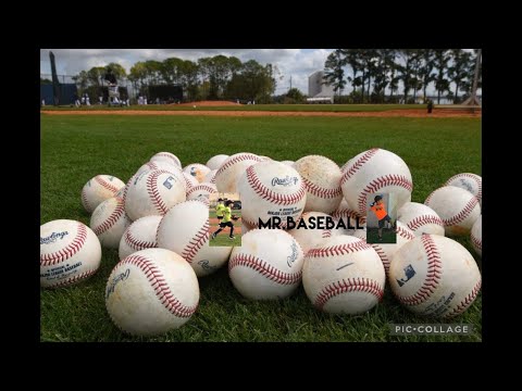 Loggerheads 9.26.2022