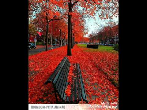 HIOMBOM-PITIA AMINAO, COVER ONJA NY AINA