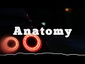 NextRO Anatomy Original Mix