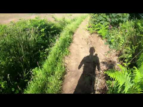 2019-06-22 Tsunami Ocean Trail