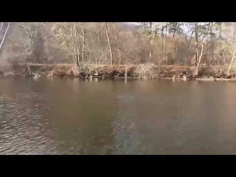 Suzuki 4 4T + Energy 410 глисс