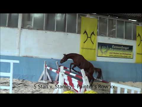 5 Stan v  Stanley   Painter's Row xx