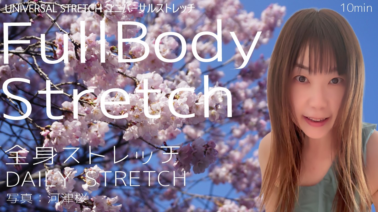 【Daily Stretch】Full Body Stretch 全身ストレッチ