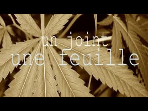 #Unjointunefeuille #Rachiday - Si la fumer tue